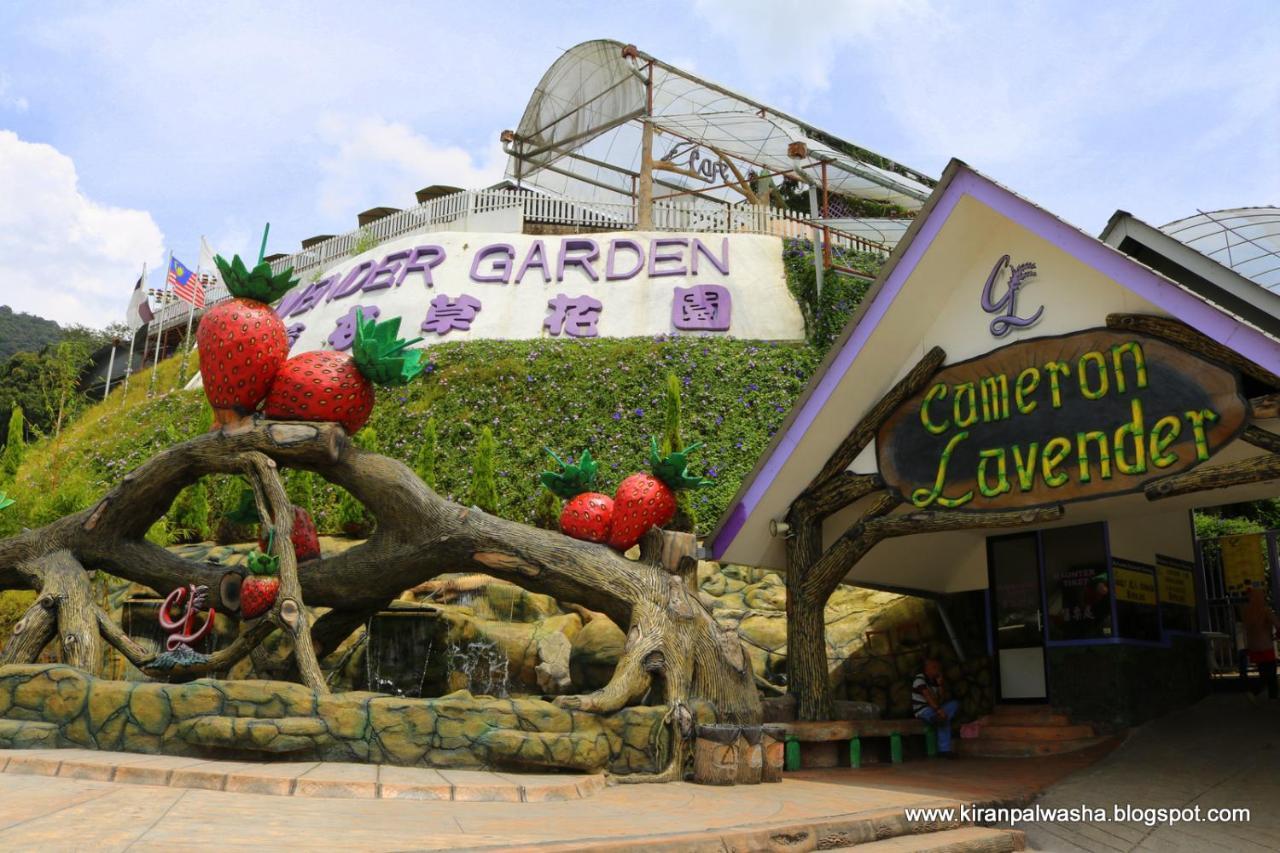 Holiday Heritage Hill Tanah Rata Bagian luar foto